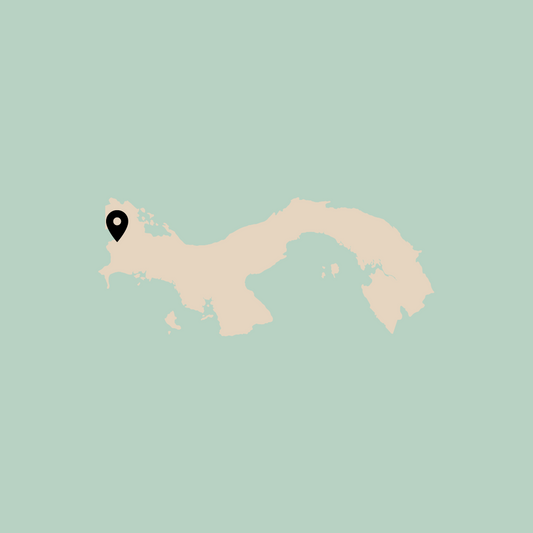 Edition 1223-15: Finca Hartmann, December '23