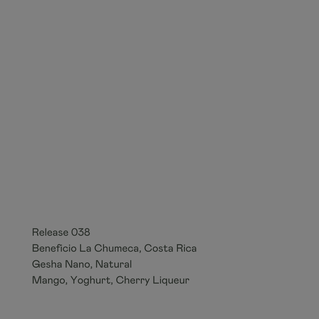 Release 038 - Beneficio La Chumeca, Gesha Nano Natural