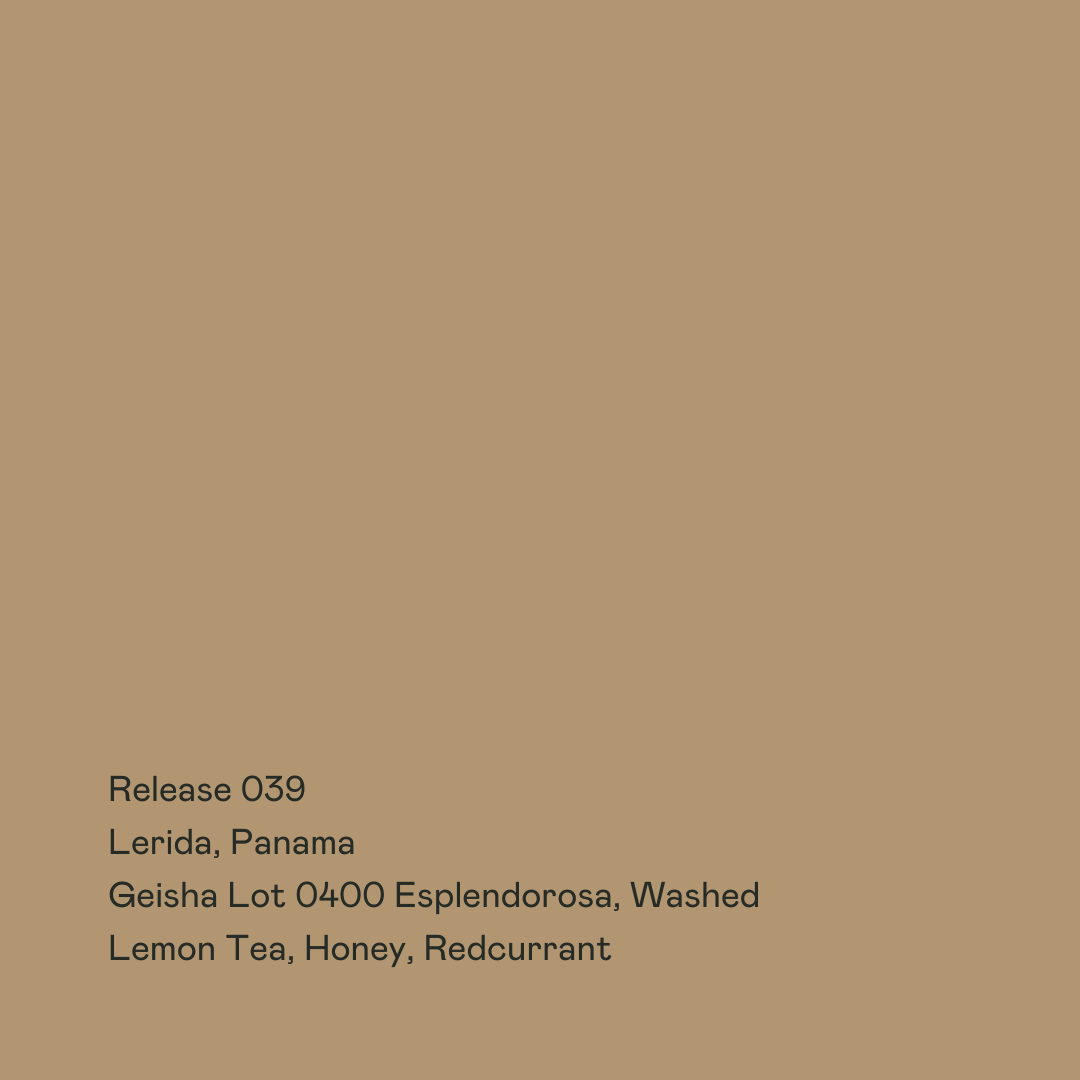 Release 039 - Lerida Lot 0400 Esplendorosa, Geisha Washed