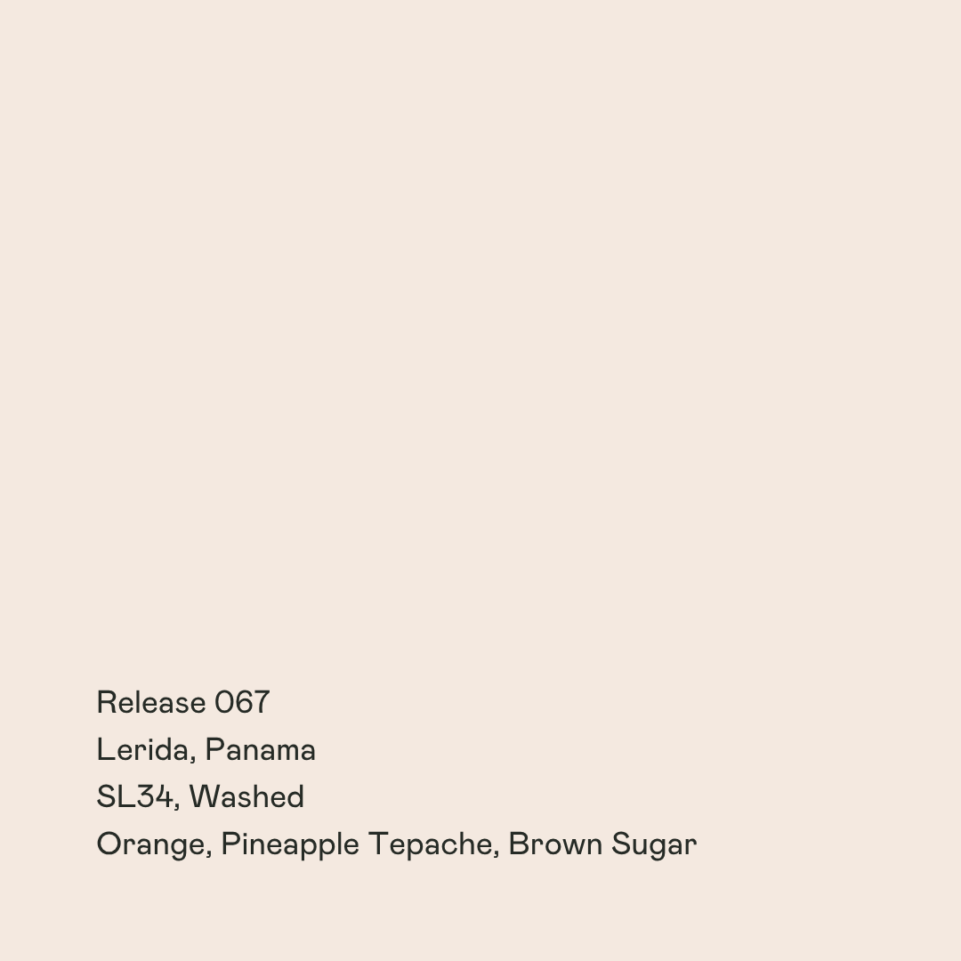 Release 067 - Lerida, Washed SL34