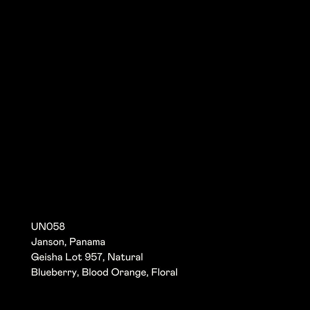 UN058 - Janson 957, Geisha Natural