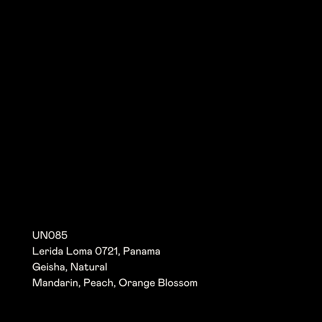 UN085 - Lerida Loma 0721, Geisha Natural
