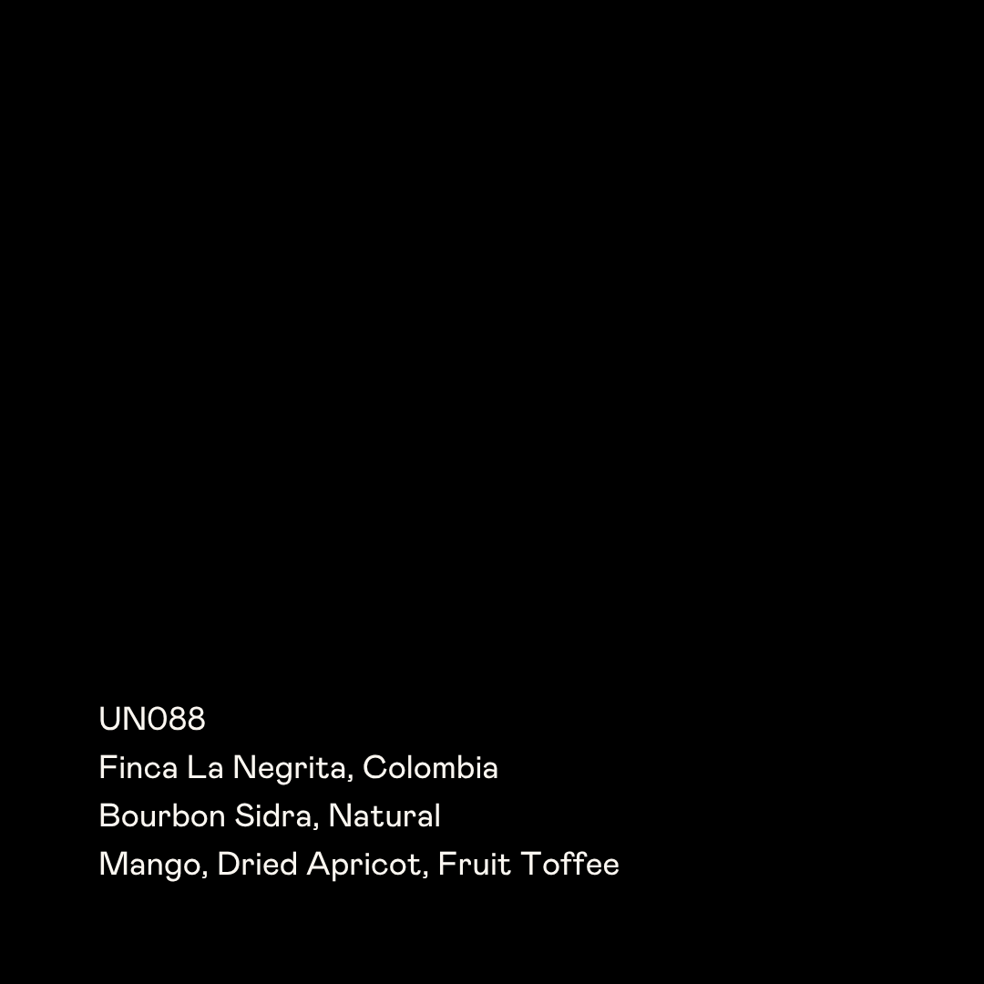 UN088 - Finca La Negrita, Bourbon Sidra Natural