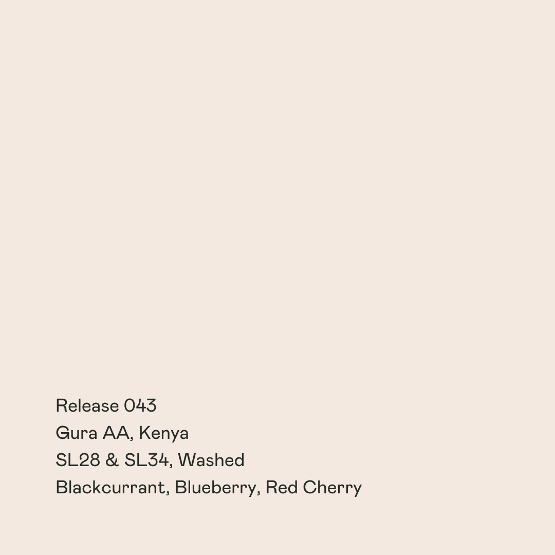 Release 043 - Gura AA, SL28 & SL34 Washed