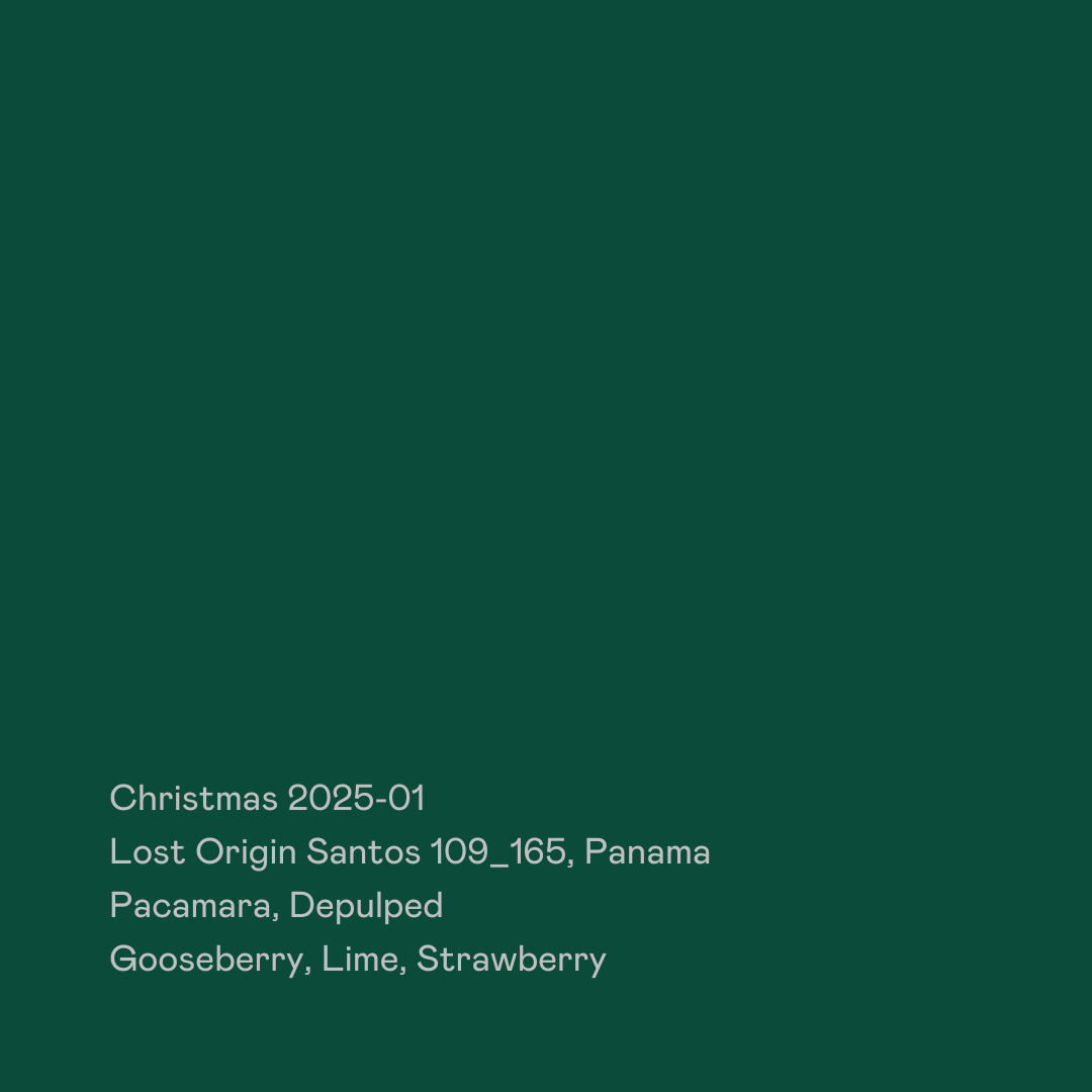 Christmas 2025-01 - Lost Origin Santos 109_165, Pacamara Depulped