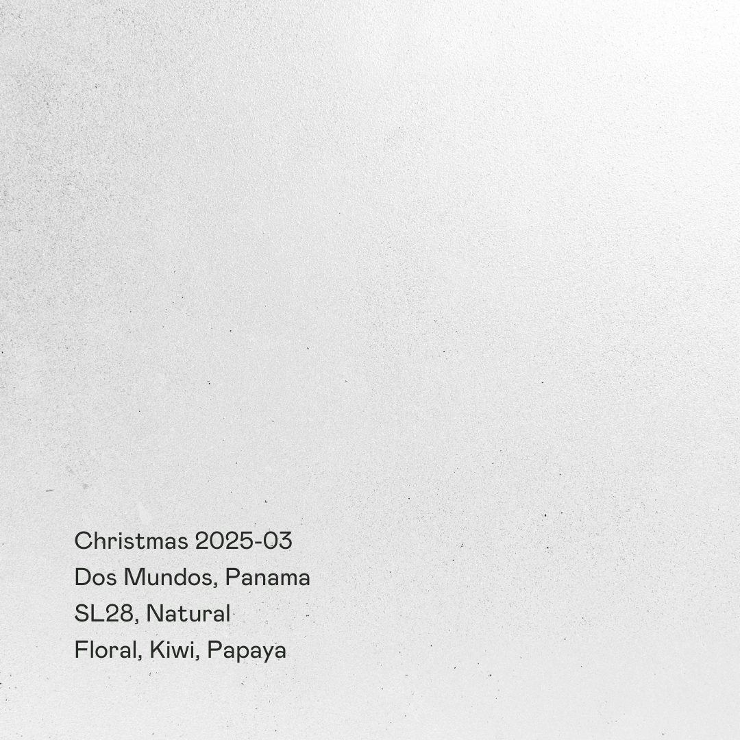 Christmas 2025-03 - Dos Mundos, SL28 Natural
