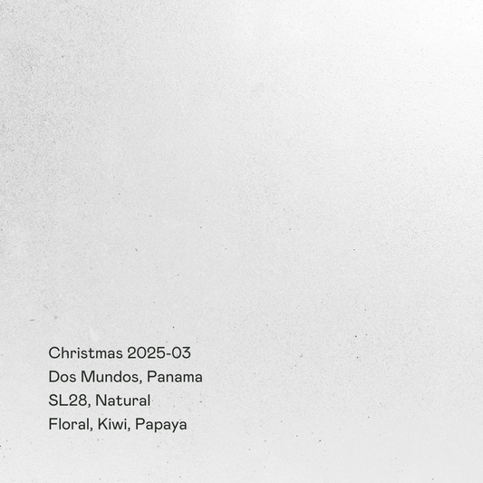 Christmas 2025-03 - Dos Mundos, SL28 Natural