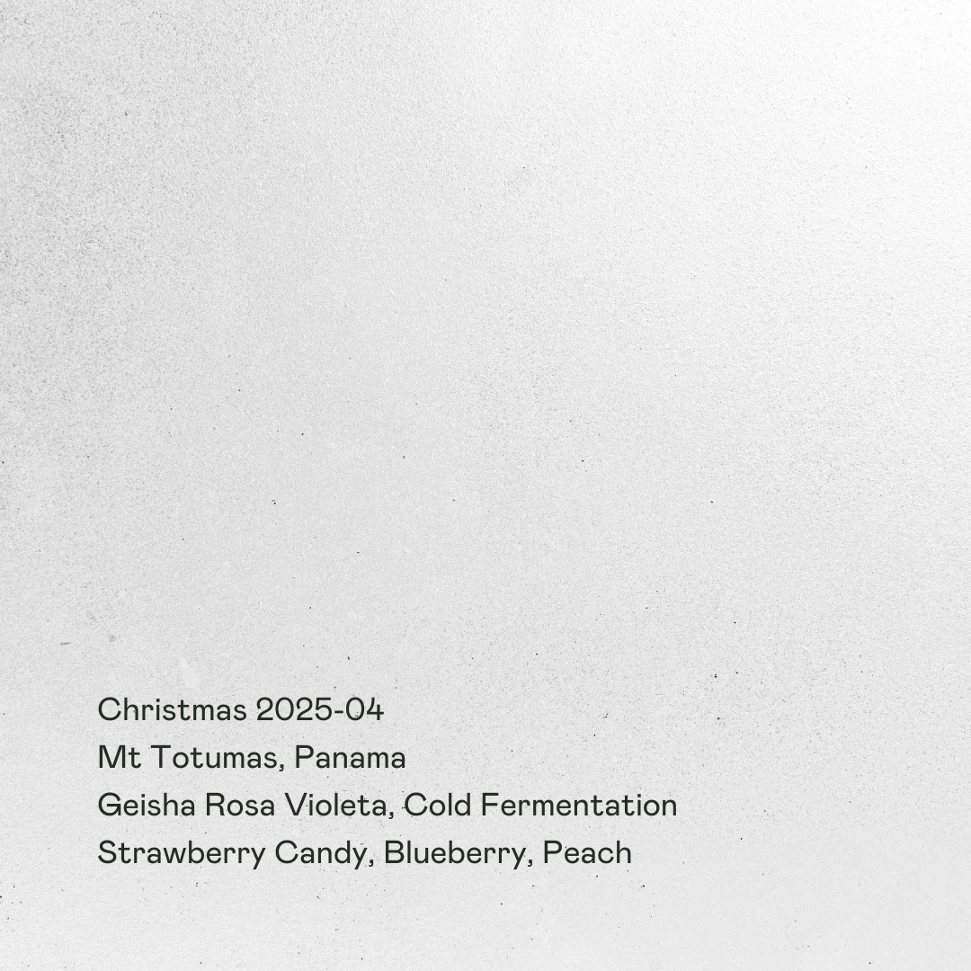 Christmas 2025-04 - Mt Totumas Geisha Rosa Violeta Cold Fermentation