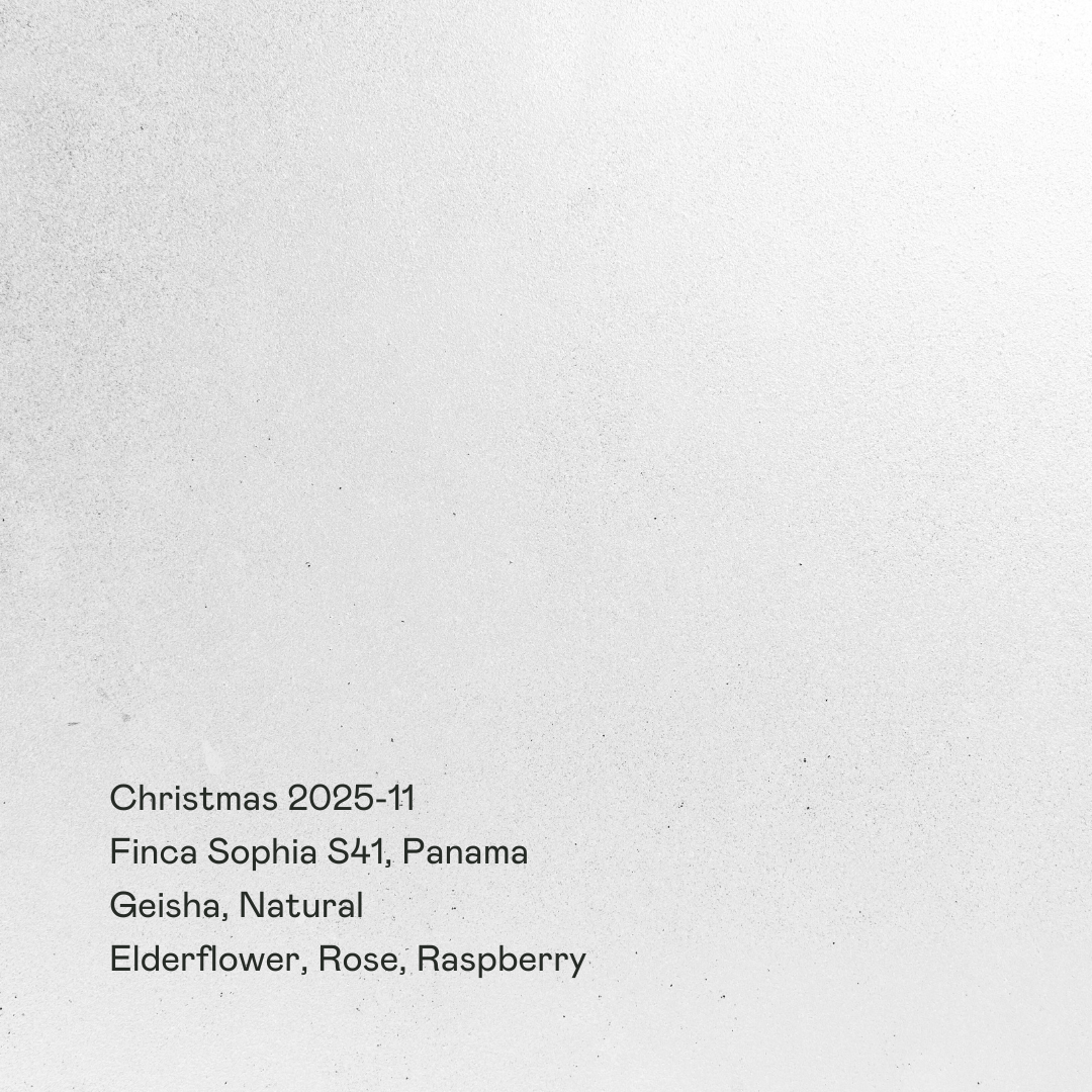 Pre-Order: Christmas 2025-11 - Finca Sophia S41 Geisha, Natural