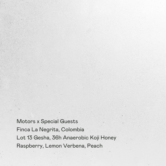 Motors x Special Guests - Finca La Negrita, Lot 13 Gesha
