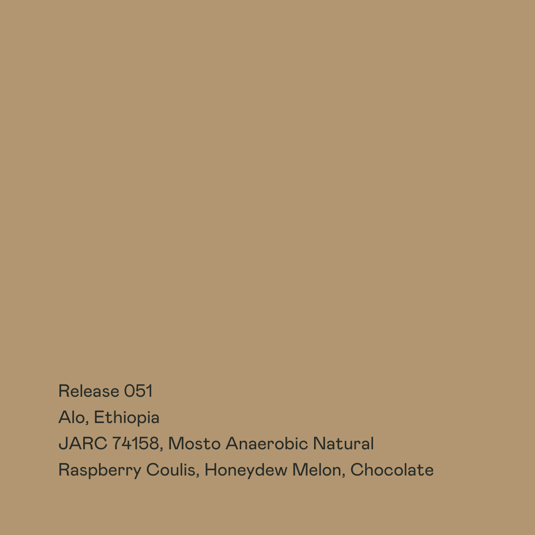 Photo of Release 051 - Alo, JARC 74158, Mosto Anaerobic Natural