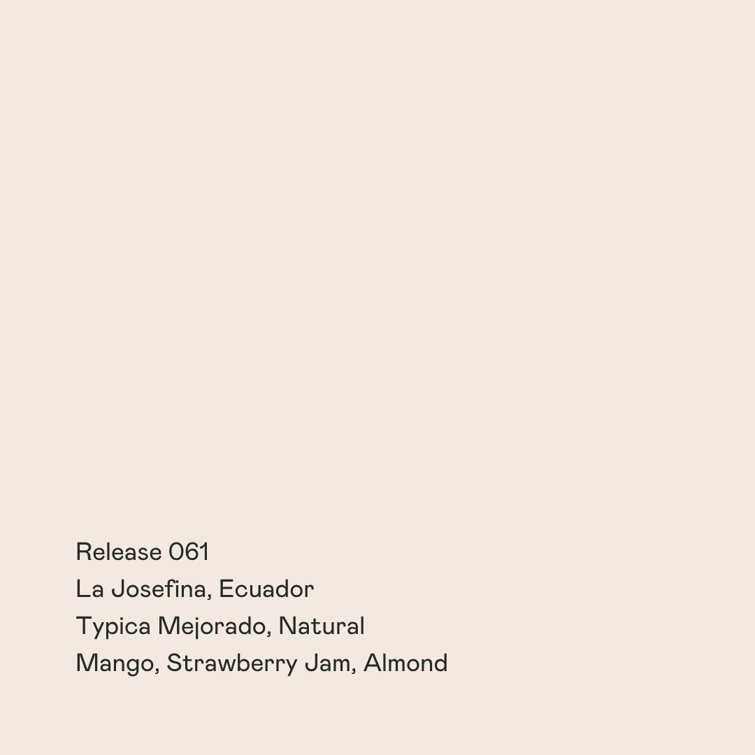 Photo of Release 061 - La Josefina, Typica Mejorado Natural