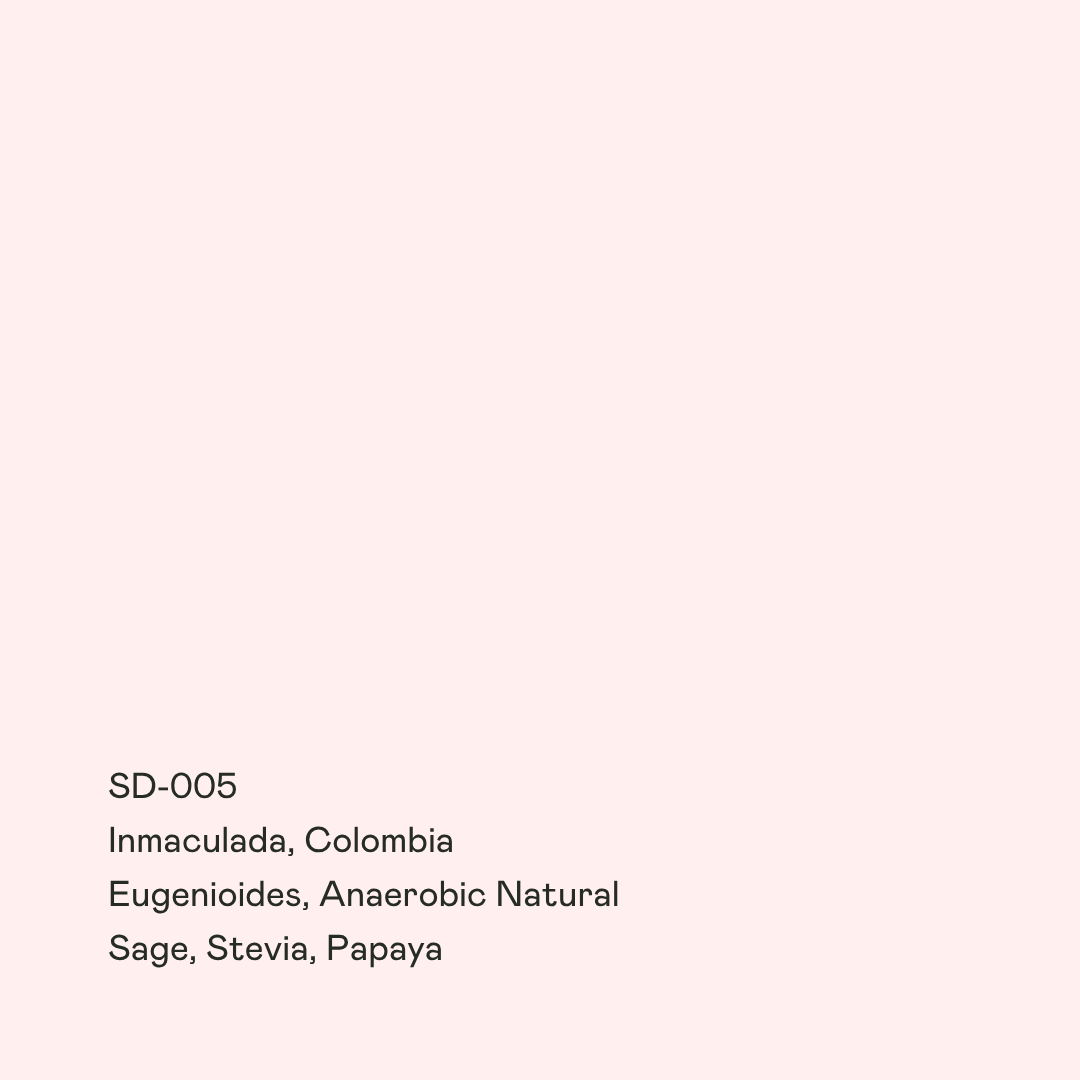 SD-005 Inmaculada, Eugenioides, Anaerobic Natural