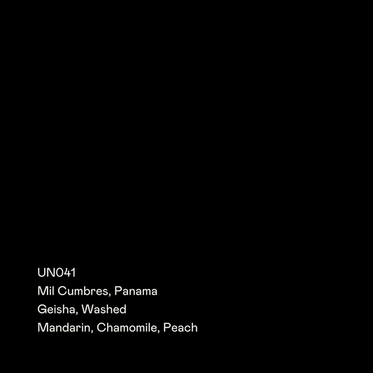 UN041 - Mil Cumbres, Geisha Washed