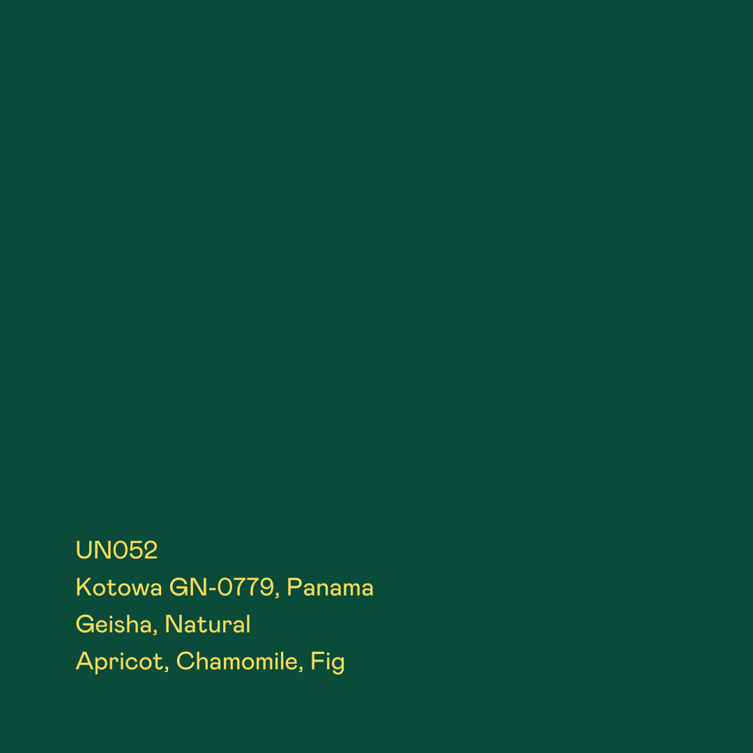 UN052 - Kotowa GN-0779, Geisha Natural