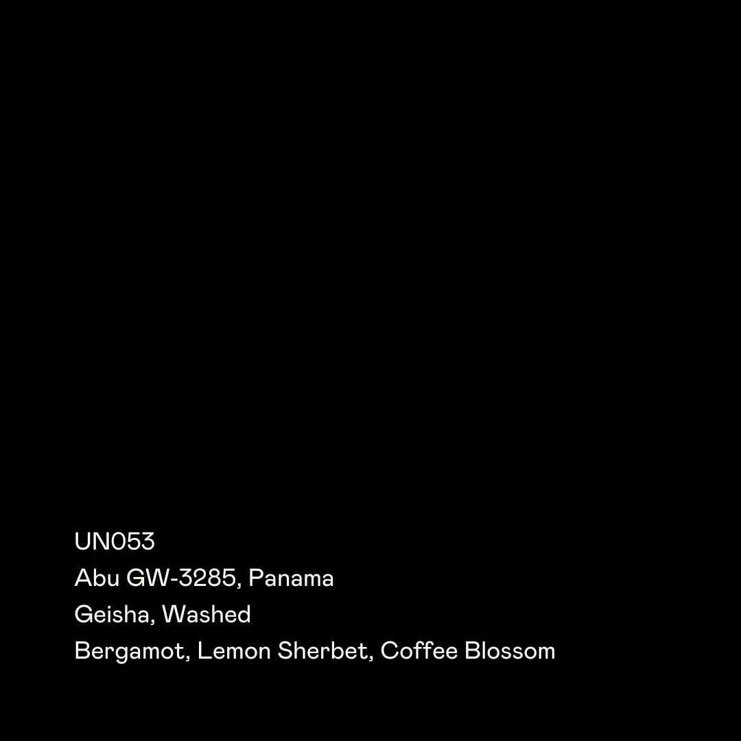 UN053 - Abu GW-3285, Geisha Washed