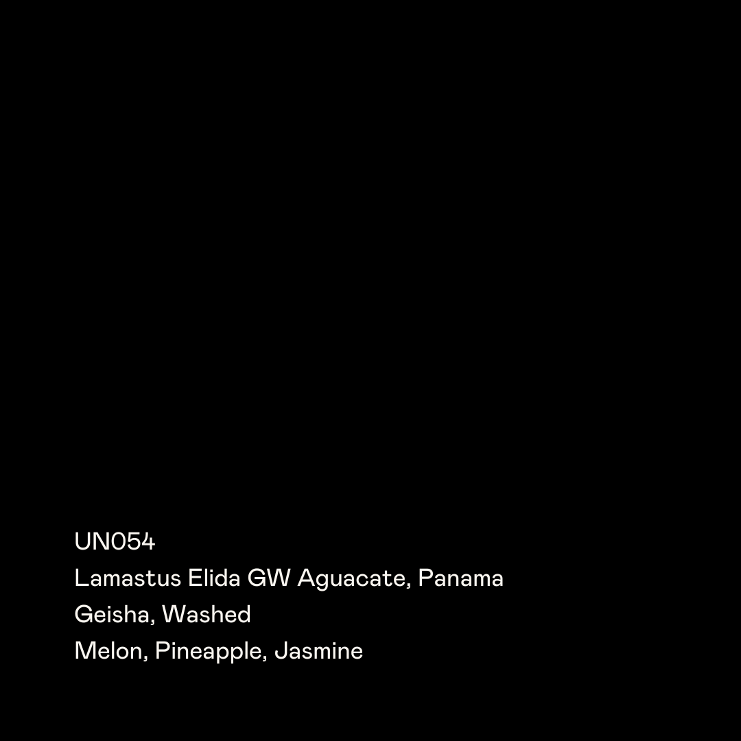 UN054 - Lamastus Elida GW Aguacate, Geisha Washed
