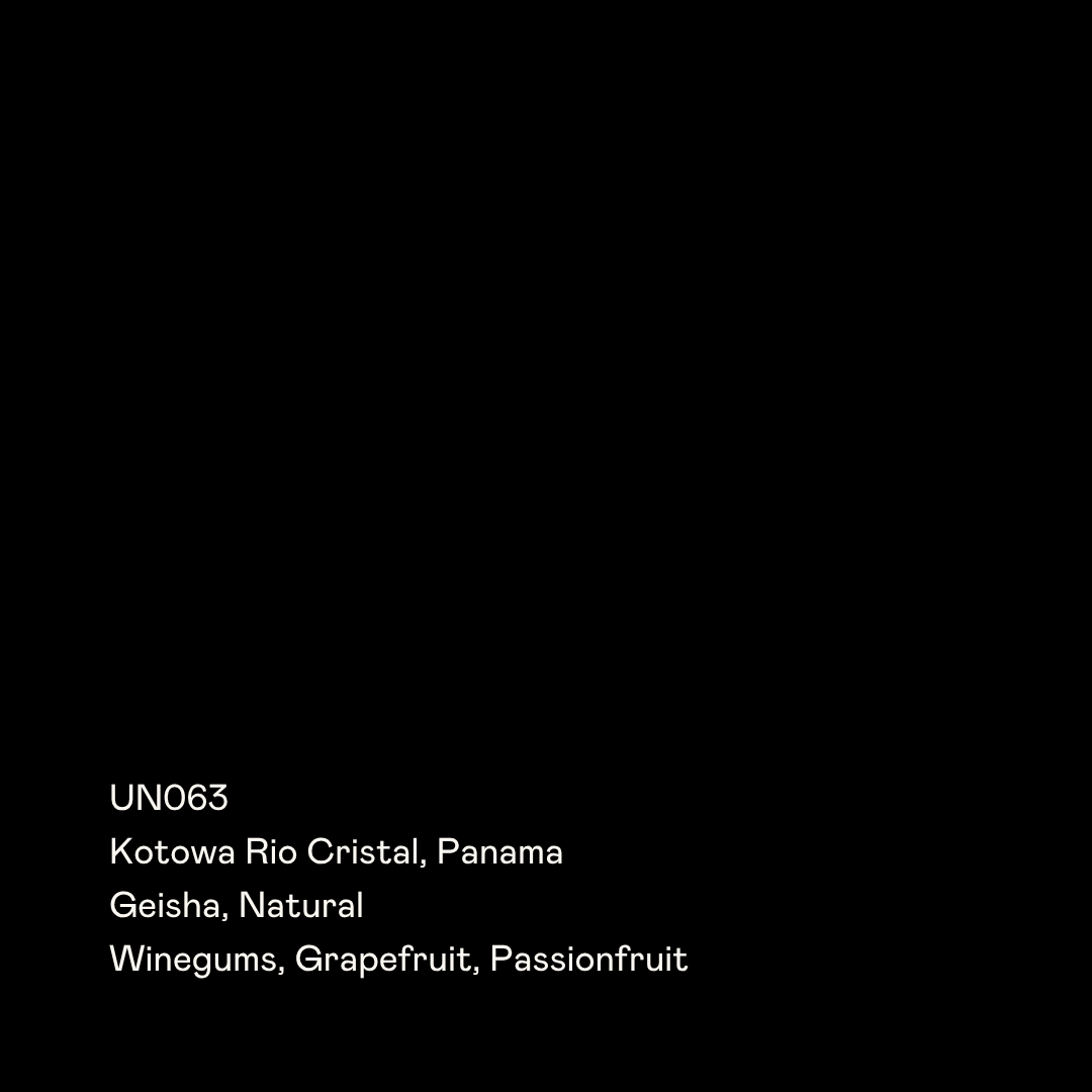 UN063 - Kotowa Rio Cristal, Geisha Natural