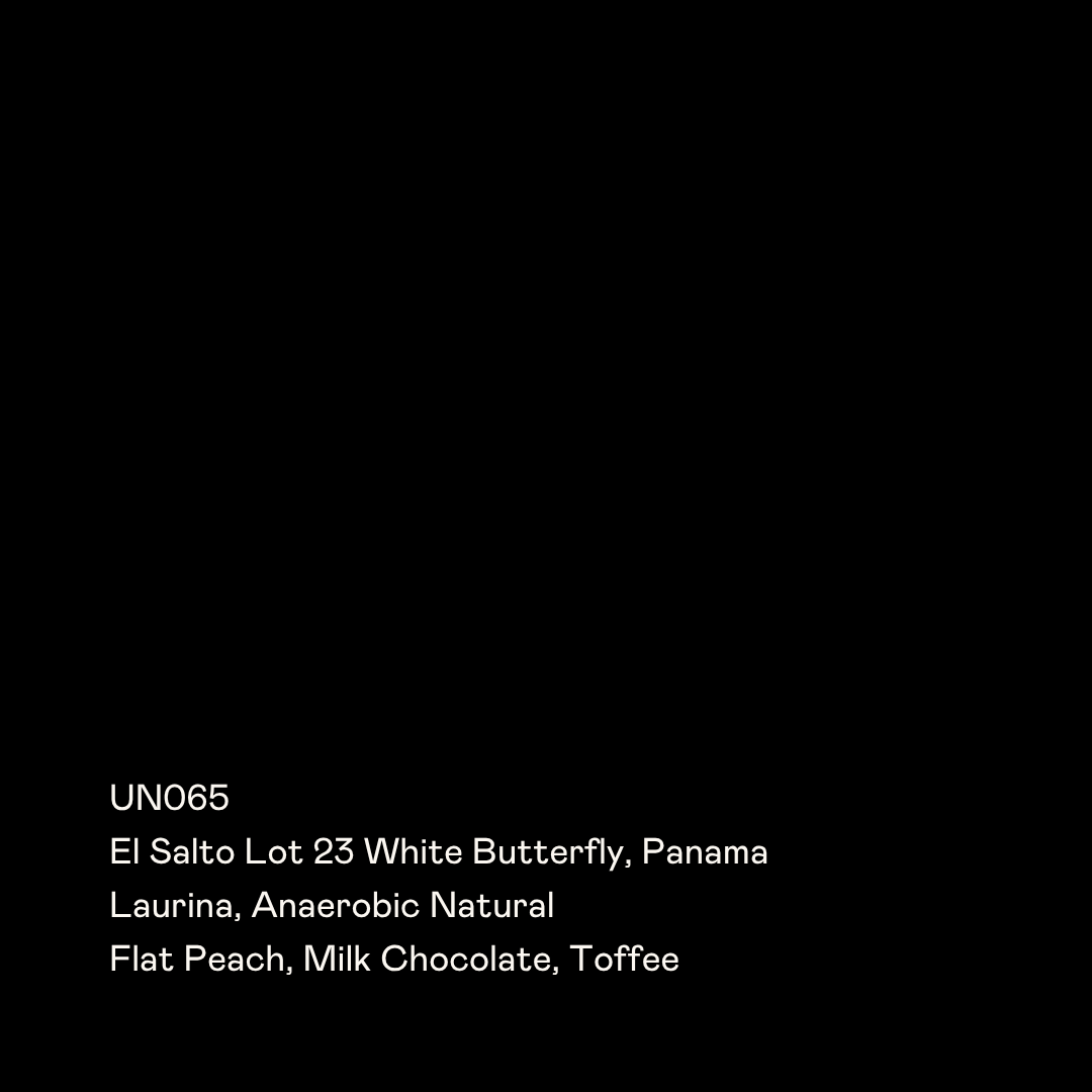 UN065 - El Salto Lot 23 White Butterfly, Laurina Anaerobic Natural