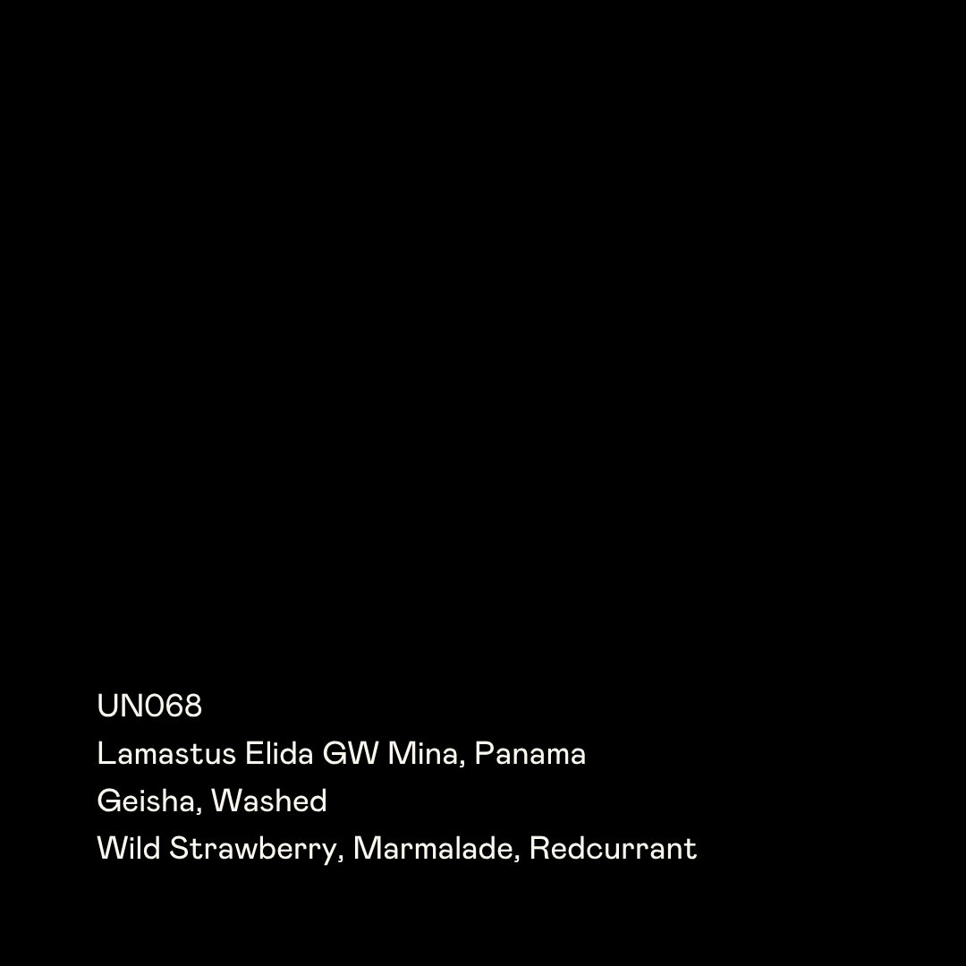 Photo of UN068 - Lamastus Elida GW Mina, Geisha Washed