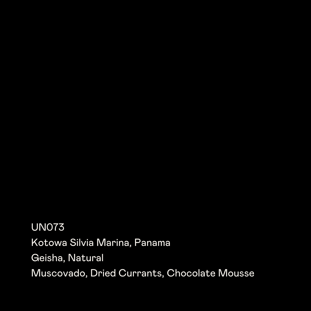 UN073 – Kotowa Silvia Marina, Geisha Natural