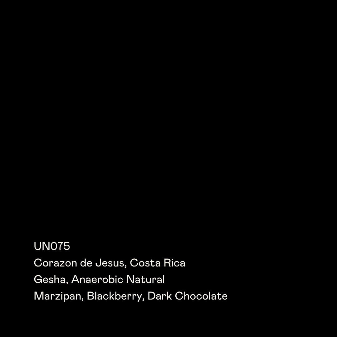 Photo of UN075 - Corazon de Jesus, Gesha Anaerobic Natural