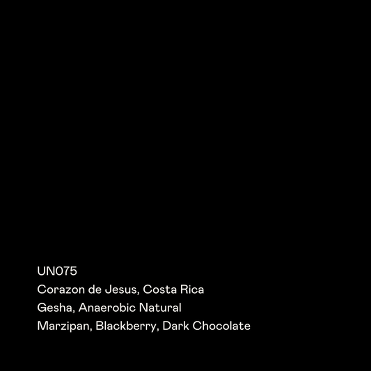 UN075 - Corazon de Jesus, Gesha Anaerobic Natural