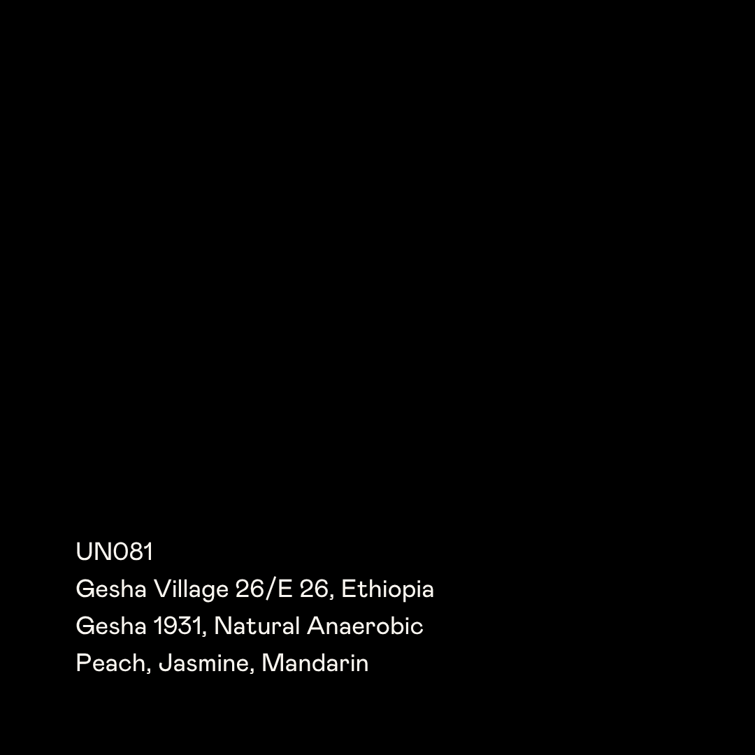 UN081 - Gesha Village 26/E-26, Gesha 1931, Natural Anaerobic